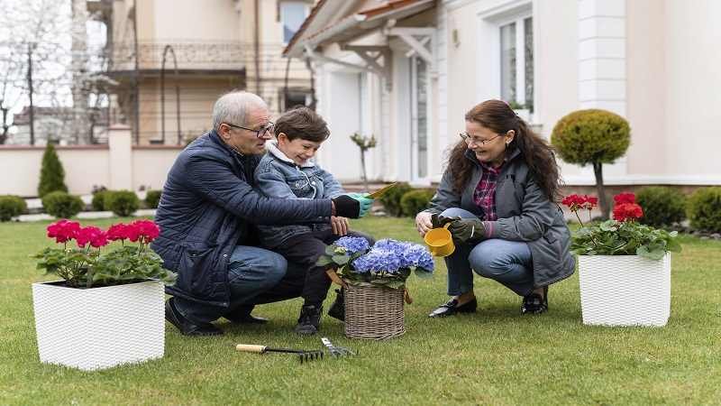 DecoradHouse Garden Tips by DecoratorAdvice: Beautiful Outdoor Garden Guide