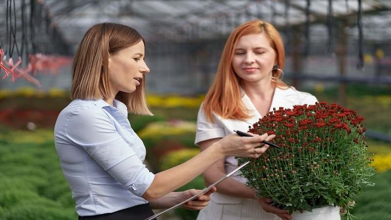 DecadGarden Yard Tips by DecoratorAdvice