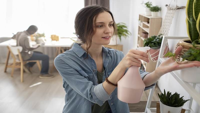 decoration tips decoradhouse from decoratoradvice
